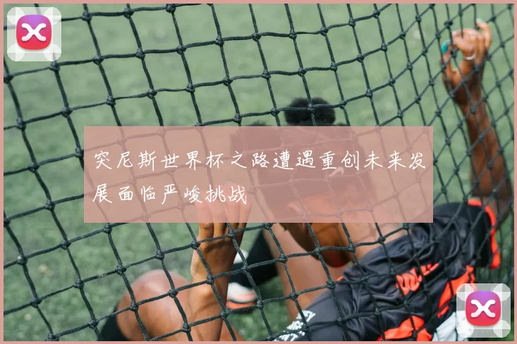 突尼斯世界杯之路遭遇重创未来发展面临严峻挑战